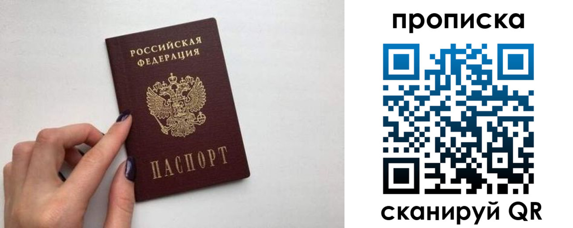 прописка для школы в Люберцах